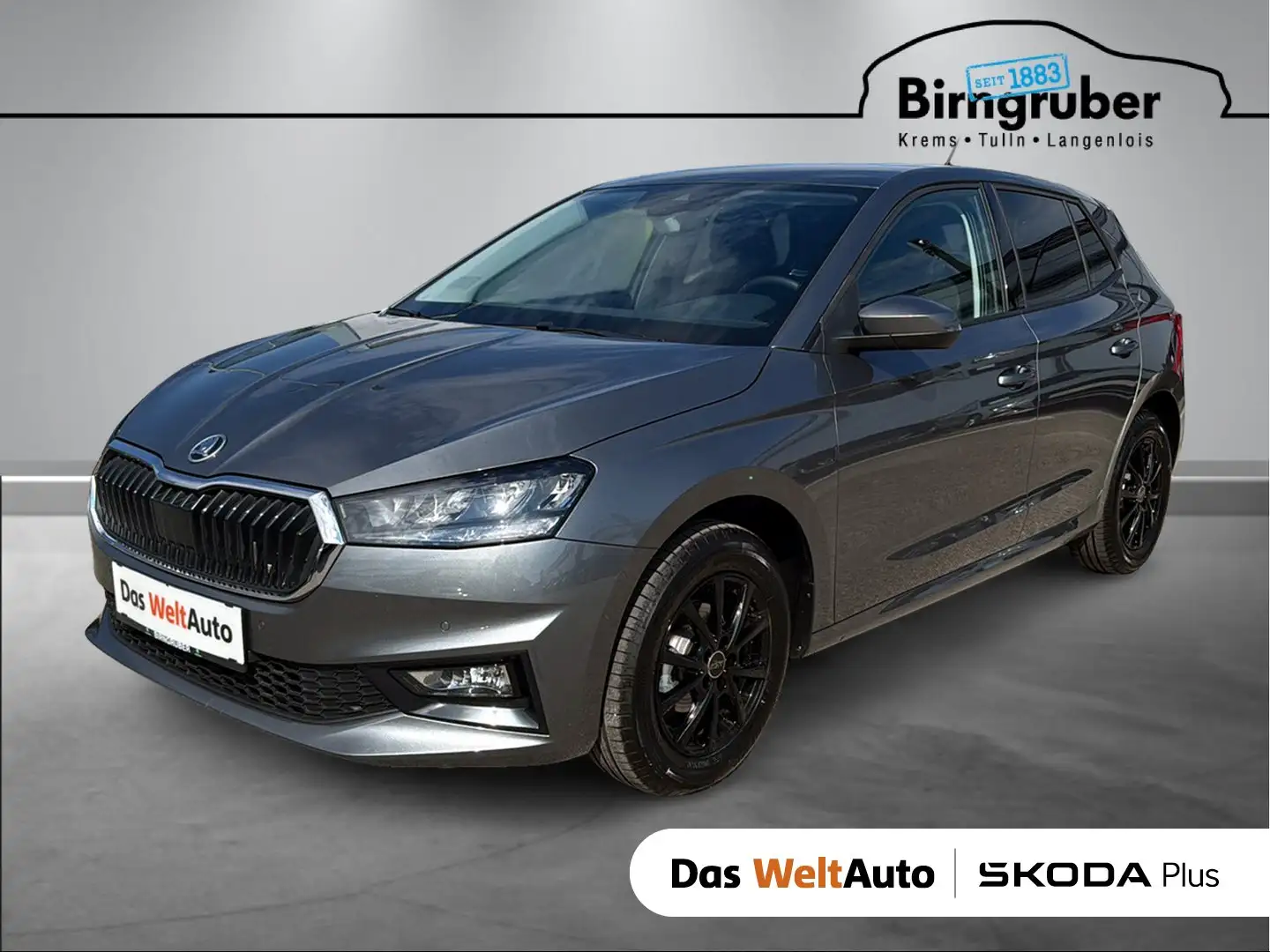 Skoda Fabia Selection TSI Grau - 1