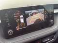 Skoda Fabia Selection TSI Grau - thumbnail 13