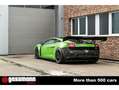 Lamborghini Gallardo GT3,  LP 520, by Reiter Engineering Grün - thumbnail 10