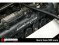Lamborghini Gallardo GT3,  LP 520, by Reiter Engineering Grün - thumbnail 20
