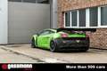 Lamborghini Gallardo GT3,  LP 520, by Reiter Engineering Vert - thumbnail 10