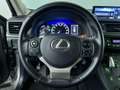 Lexus CT 200h Business Launch Edition Grau - thumbnail 14