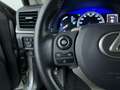 Lexus CT 200h Business Launch Edition Grau - thumbnail 15