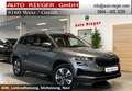 Skoda Karoq 4x4 TDI, AHK, LED, ACC, Navi Grau - thumbnail 1
