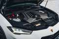 Lamborghini Urus S / Pano / B&O / Bianco Icarus / 23" Blanc - thumbnail 26