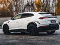 Lamborghini Urus S / Pano / B&O / Bianco Icarus / 23" Blanc - thumbnail 10