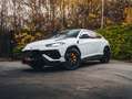 Lamborghini Urus S / Pano / B&O / Bianco Icarus / 23" Blanc - thumbnail 29