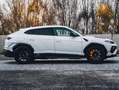 Lamborghini Urus S / Pano / B&O / Bianco Icarus / 23" Blanc - thumbnail 6