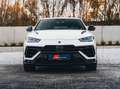 Lamborghini Urus S / Pano / B&O / Bianco Icarus / 23" Blanc - thumbnail 2