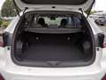 Subaru Crosstrek 2.0ie Edition Comfort Plus ACC LED Alb - thumbnail 15