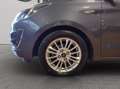 Ford Ka/Ka+ Ka + 1.5 ecoblue(tdci) ultimate s&s 95cv Grigio - thumbnail 12