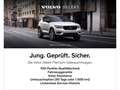 Volvo XC40 Plus Dark B4 18''LM AHK Pano Memory Sitze HarmanKa Argent - thumbnail 16