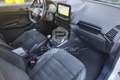 Ford EcoSport 1.5 TDCi 125 CV Start&Stop AWD ST-Line Bianco - thumbnail 15
