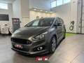 Ford S-Max 2.0 EcoBlue 150CV Start&Stop St-Line Business Grigio - thumbnail 1