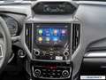 Subaru Forester 2.0ie e-BOXER Active Lineartronic Сірий - thumbnail 8
