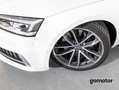 Audi A5 3.0 TFSI S5 TIPTRONIC QUATTRO CABRIO 354 2P Blanco - thumbnail 14