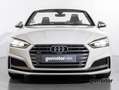 Audi A5 3.0 TFSI S5 TIPTRONIC QUATTRO CABRIO 354 2P Blanco - thumbnail 8