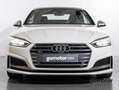 Audi A5 3.0 TFSI S5 TIPTRONIC QUATTRO CABRIO 354 2P Blanco - thumbnail 7
