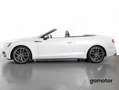 Audi A5 3.0 TFSI S5 TIPTRONIC QUATTRO CABRIO 354 2P Blanco - thumbnail 11