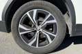 BMW X3 X3 xDrive20d Business Advantage Bianco - thumbnail 7