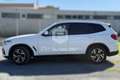 BMW X3 X3 xDrive20d Business Advantage Bianco - thumbnail 5