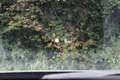 BMW 535 GT d xDrive Luxury Aut. ACC*HUP*PANO*LED*360°*NAVI*LEDER*AMBIENTE*MEMORY*SOFT CLOSE* Grau - thumbnail 12