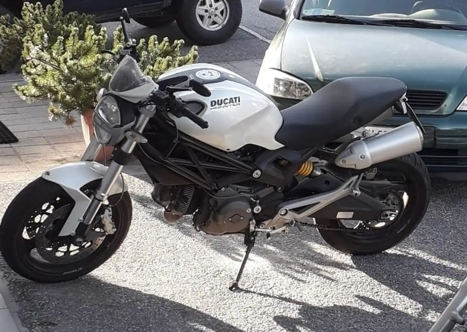 Ducati Monster 696 Blanc - 1