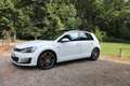 Volkswagen Golf GTD BlueMotion Technology DSG Wit - thumbnail 6
