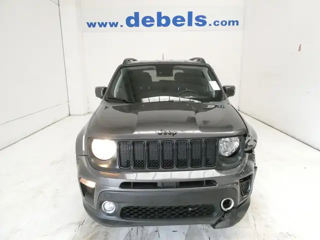Jeep Renegade Renegade