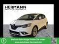 Renault Scenic IV 1.7 BLUE dCi 150 Business Edition *LED Weiß - thumbnail 1