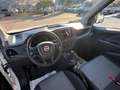Fiat Doblo 1.3 MJT PC-TN FURGONE CARGO SX 3 POSTI ALLESTITO Bianco - thumbnail 10