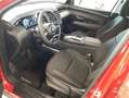 Hyundai TUCSON 1.6 TGDI HEV 169KW TECNO SKY AUTO 5P Rojo - thumbnail 29