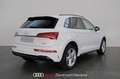 Audi Q5 40 TDI 204CV Quattro Stronic MHEV Sline Bianco - thumbnail 4