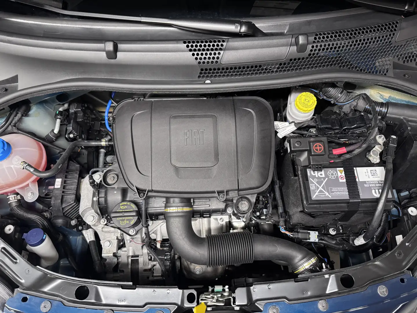 Fiat 500C FireFly Hybrid 70 Dolcevita Blau - 2