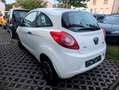 Ford Ka/Ka+ 1.2 Concept Kupplung Neu Tüv erneuert Weiß - thumbnail 5