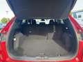 Ford Kuga 1.5 EcoBoost ST-Line X AHK*CAM*LED*NAVI*SHZ Rouge - thumbnail 6