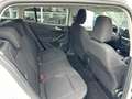 Ford Focus 1.0 EcoBoost mHEV 125ch Titanium X Business Weiß - thumbnail 14
