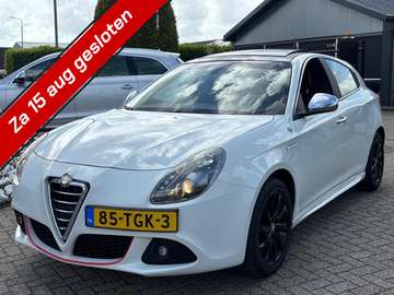 1.4 Turbo Benzine Automaat Wit Panoramadak Sport