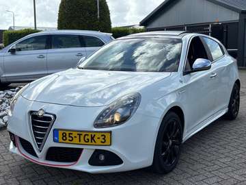 1.4 Turbo Benzine Automaat Wit Panoramadak Sport