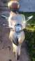 Piaggio Beverly 125 IE - thumbnail 2