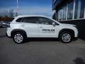Suzuki S-Cross 1,4 GL+ DITC Hybrid ALLGRIP shine Bianco - thumbnail 5