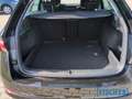 Skoda Octavia Combi 1.5 eTSI DSG LED GRA PDC SHZ vorn & hinten Schwarz - thumbnail 19