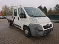 Peugeot Boxer Doppelkabiner 3-Seiten Kipper Wit - thumbnail 3