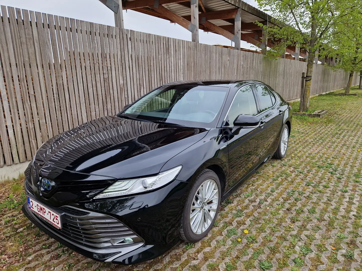 Toyota Camry Luxury - 1