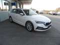 Skoda Octavia Combi 2,0 TDI Style DSG, ACC, Lane assist, ... Weiß - thumbnail 14