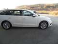 Skoda Octavia Combi 2,0 TDI Style DSG, ACC, Lane assist, ... Weiß - thumbnail 15