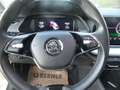 Skoda Octavia Combi 2,0 TDI Style DSG, ACC, Lane assist, ... Weiß - thumbnail 12