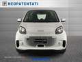 smart forTwo eq Prime - thumbnail 4