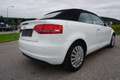 Audi A3 Cabriolet 1,2 TFSI Comfort Edition Weiß - thumbnail 6