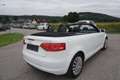 Audi A3 Cabriolet 1,2 TFSI Comfort Edition Weiß - thumbnail 13